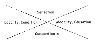 Hering's 4 quadrant diagram